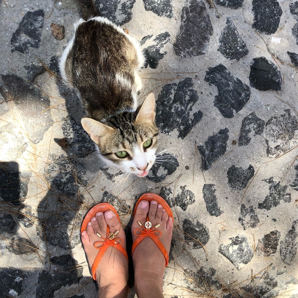 Meet your Posher, Melody